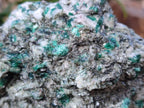 Natural Emerald Mica 'Mutokolite' Specimens x 5 From Mutoko, Zimbabwe - Toprock Gemstones and Minerals 