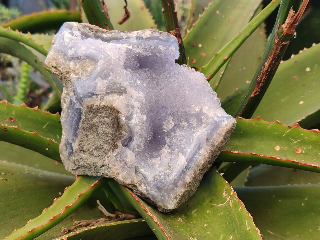 Natural Blue Lace Agate Geode Specimens x 6 From Malawi - Toprock Gemstones and Minerals 