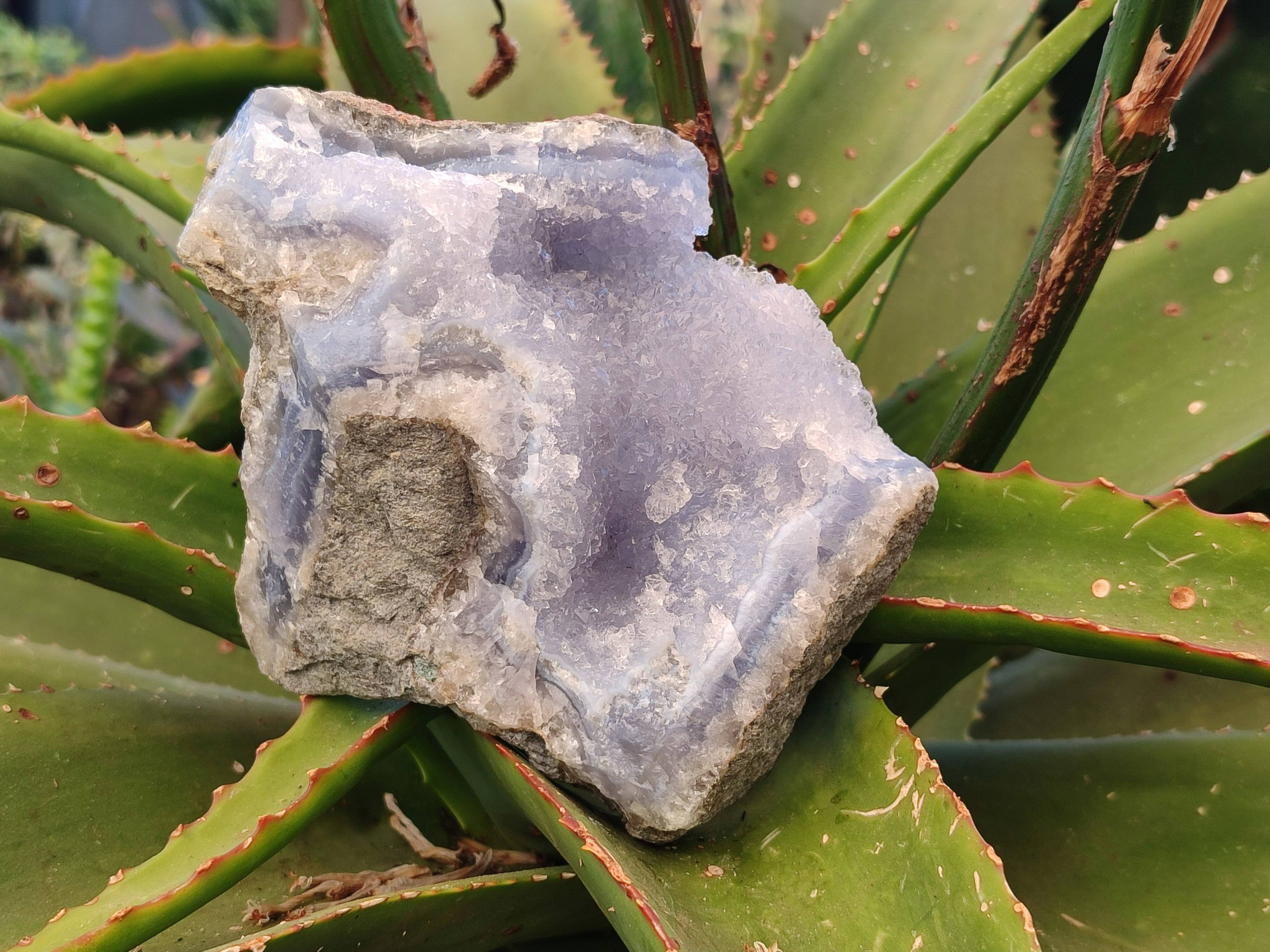 Natural Blue Lace Agate Geode Specimens x 6 From Malawi - Toprock Gemstones and Minerals 