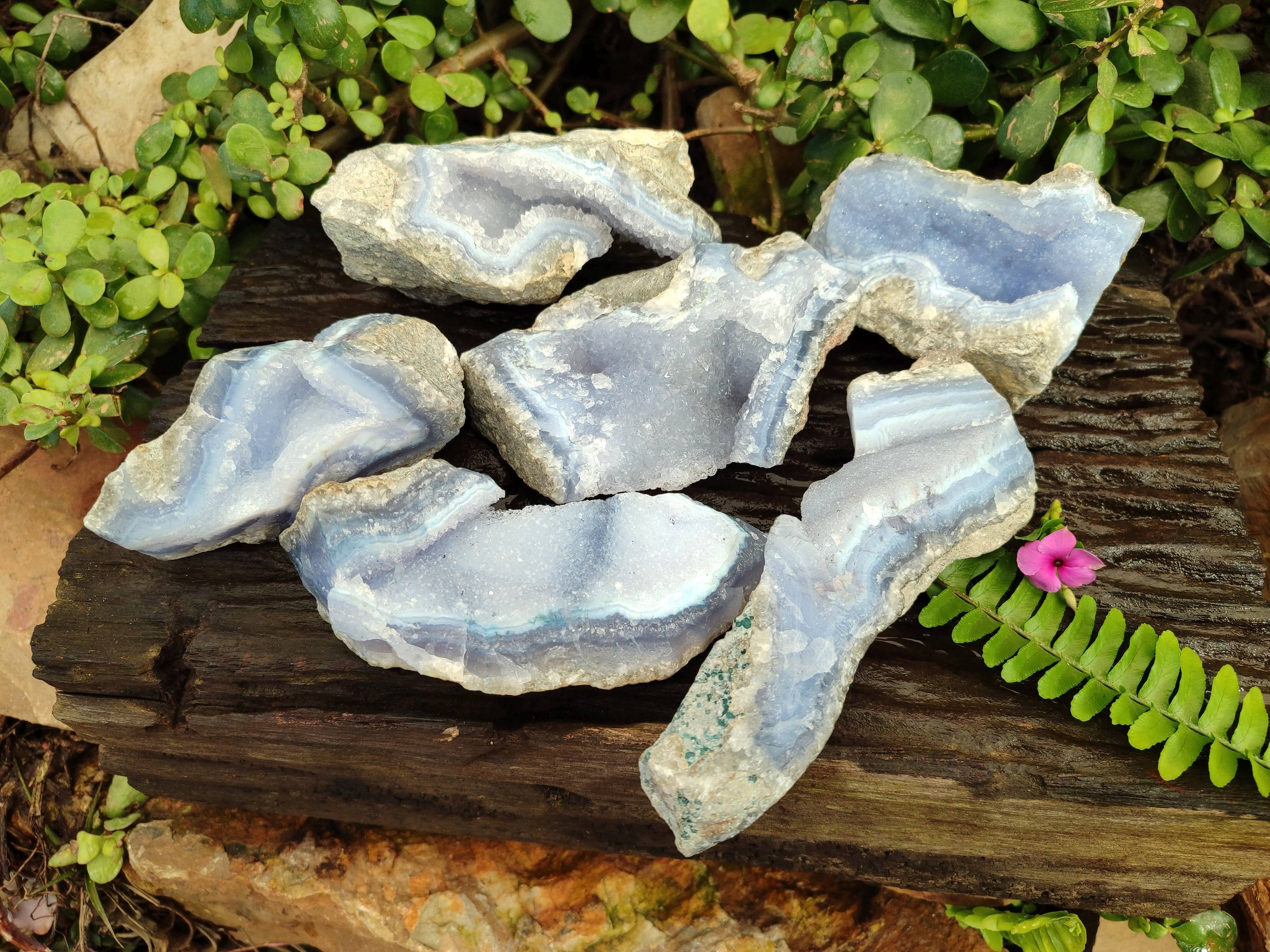 Natural Blue Lace Agate Geode Specimens x 6 From Malawi - Toprock Gemstones and Minerals 