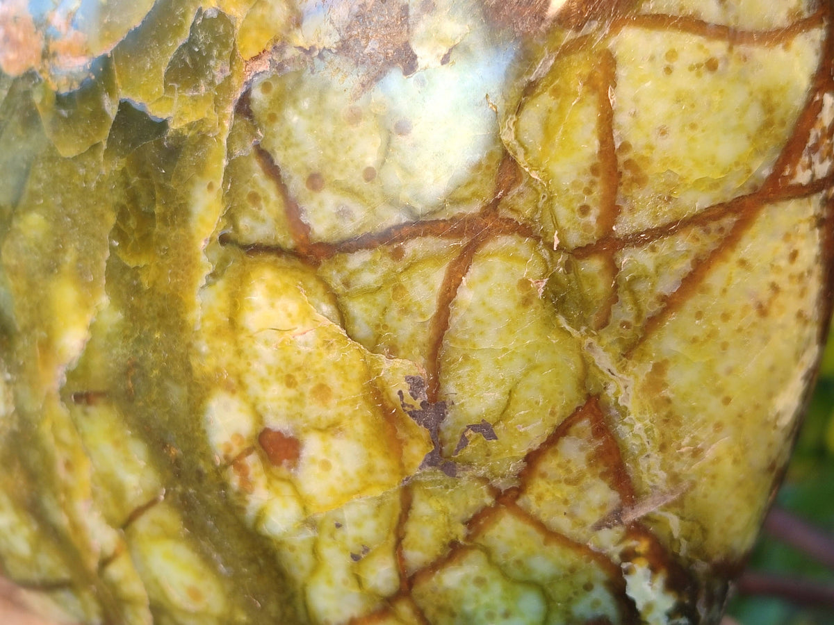 Polished Green Opal Standing Free Form x 1 From Madagascar - Toprock Gemstones and Minerals 