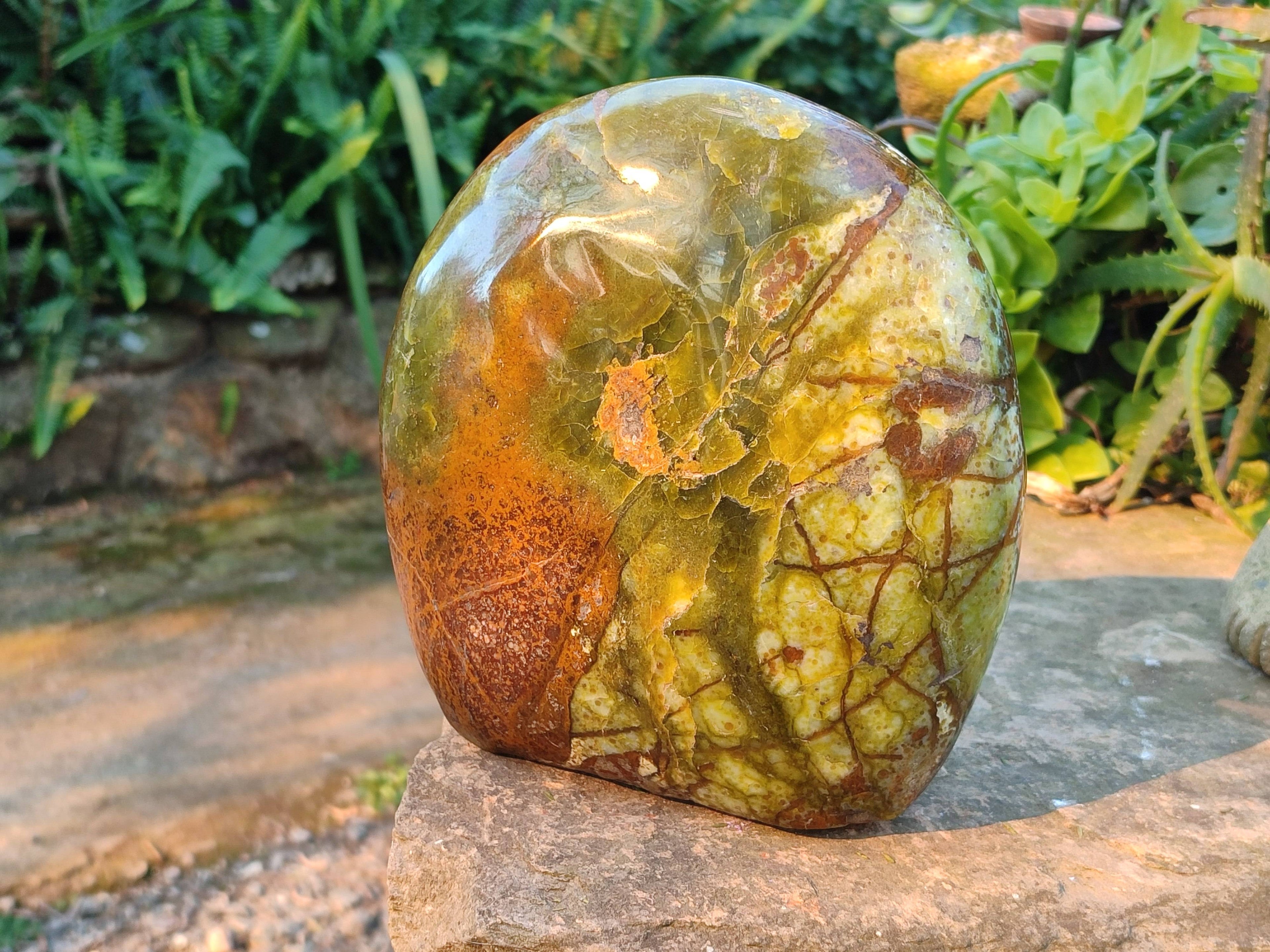 Polished Green Opal Standing Free Form x 1 From Madagascar - Toprock Gemstones and Minerals 
