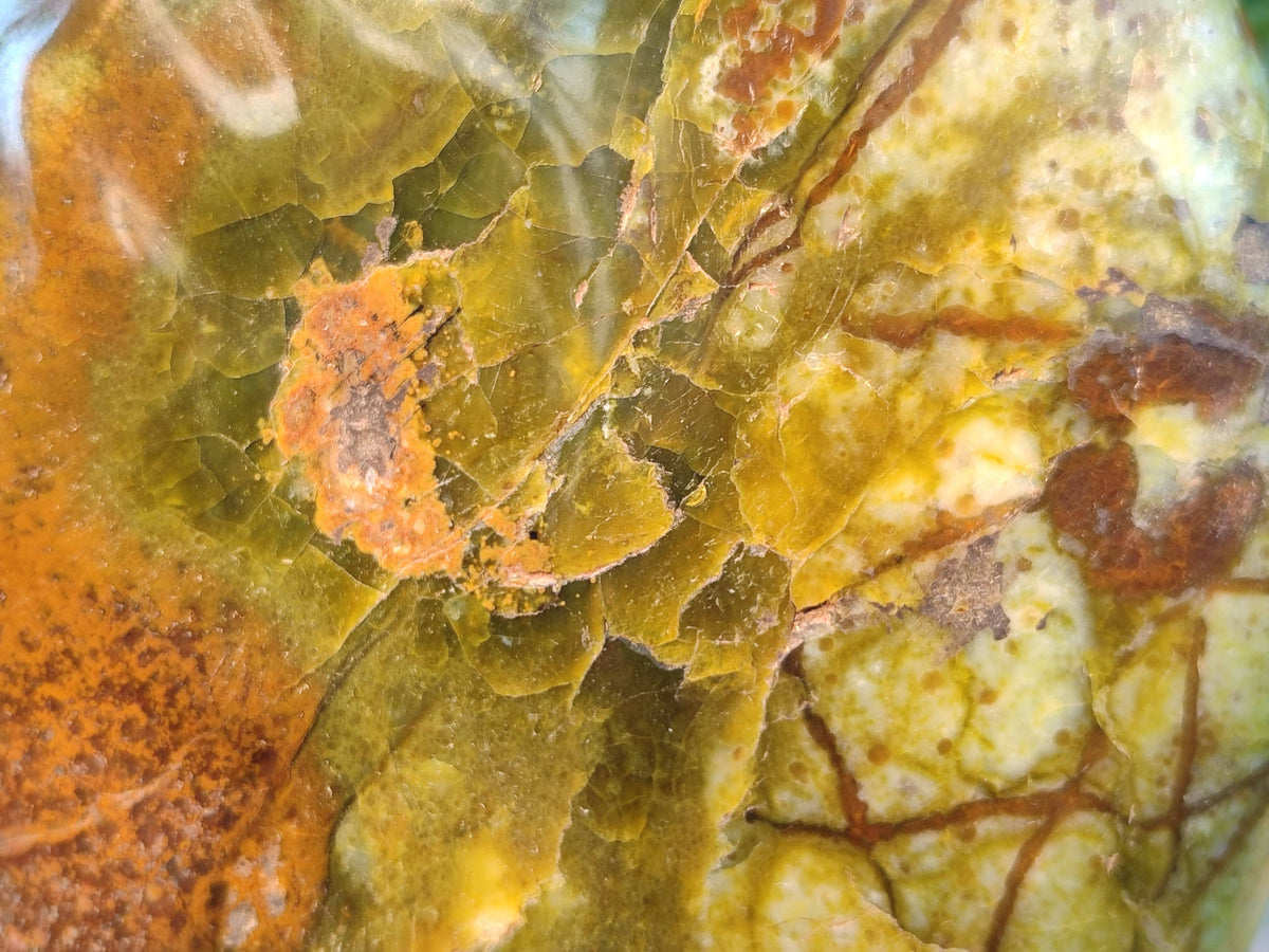 Polished Green Opal Standing Free Form x 1 From Madagascar - Toprock Gemstones and Minerals 