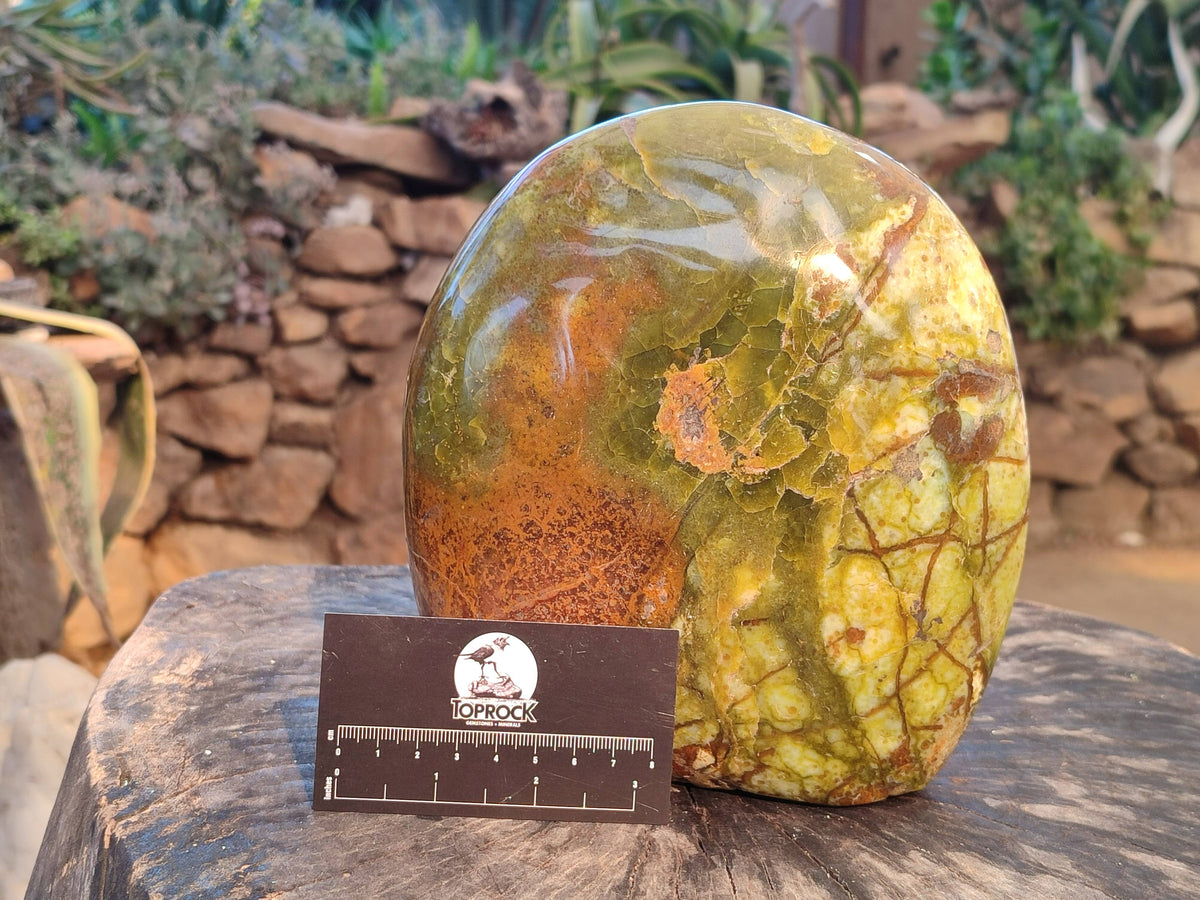 Polished Green Opal Standing Free Form x 1 From Madagascar - Toprock Gemstones and Minerals 