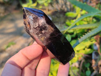 Polished Smokey Quartz Crystals x 6 From Madagascar