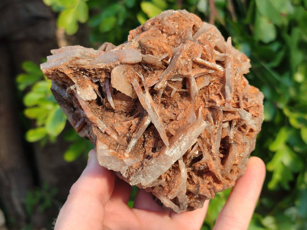 Natural Bladed Barite Specimens x 2 From Congo