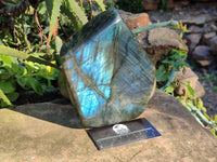 Polished Labradorite Standing Free Form x 1 From Tulear, Madagascar - Toprock Gemstones and Minerals 