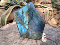 Polished Labradorite Standing Free Form x 1 From Tulear, Madagascar - Toprock Gemstones and Minerals 