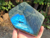 Polished Labradorite Standing Free Form x 1 From Tulear, Madagascar - Toprock Gemstones and Minerals 