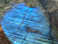 Polished Labradorite Standing Free Form x 1 From Tulear, Madagascar - Toprock Gemstones and Minerals 