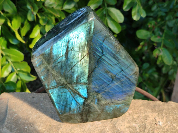 Polished Labradorite Standing Free Form x 1 From Tulear, Madagascar
