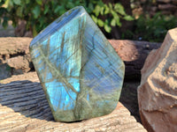 Polished Labradorite Standing Free Form x 1 From Tulear, Madagascar - Toprock Gemstones and Minerals 