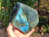 Polished Labradorite Standing Free Form x 1 From Tulear, Madagascar - Toprock Gemstones and Minerals 