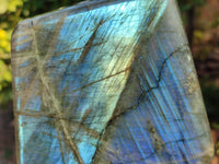 Polished Labradorite Standing Free Form x 1 From Tulear, Madagascar - Toprock Gemstones and Minerals 