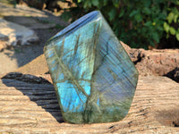 Polished Labradorite Standing Free Form x 1 From Tulear, Madagascar - Toprock Gemstones and Minerals 
