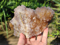 Natural Spirit Quartz Clusters x 2 From South Africa - Toprock Gemstones and Minerals 