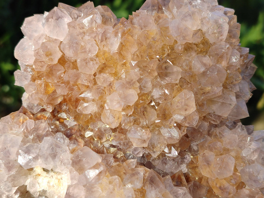 Natural Spirit Quartz Clusters x 2 From South Africa - Toprock Gemstones and Minerals 