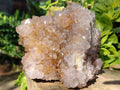Natural Spirit Quartz Clusters x 2 From South Africa - Toprock Gemstones and Minerals 