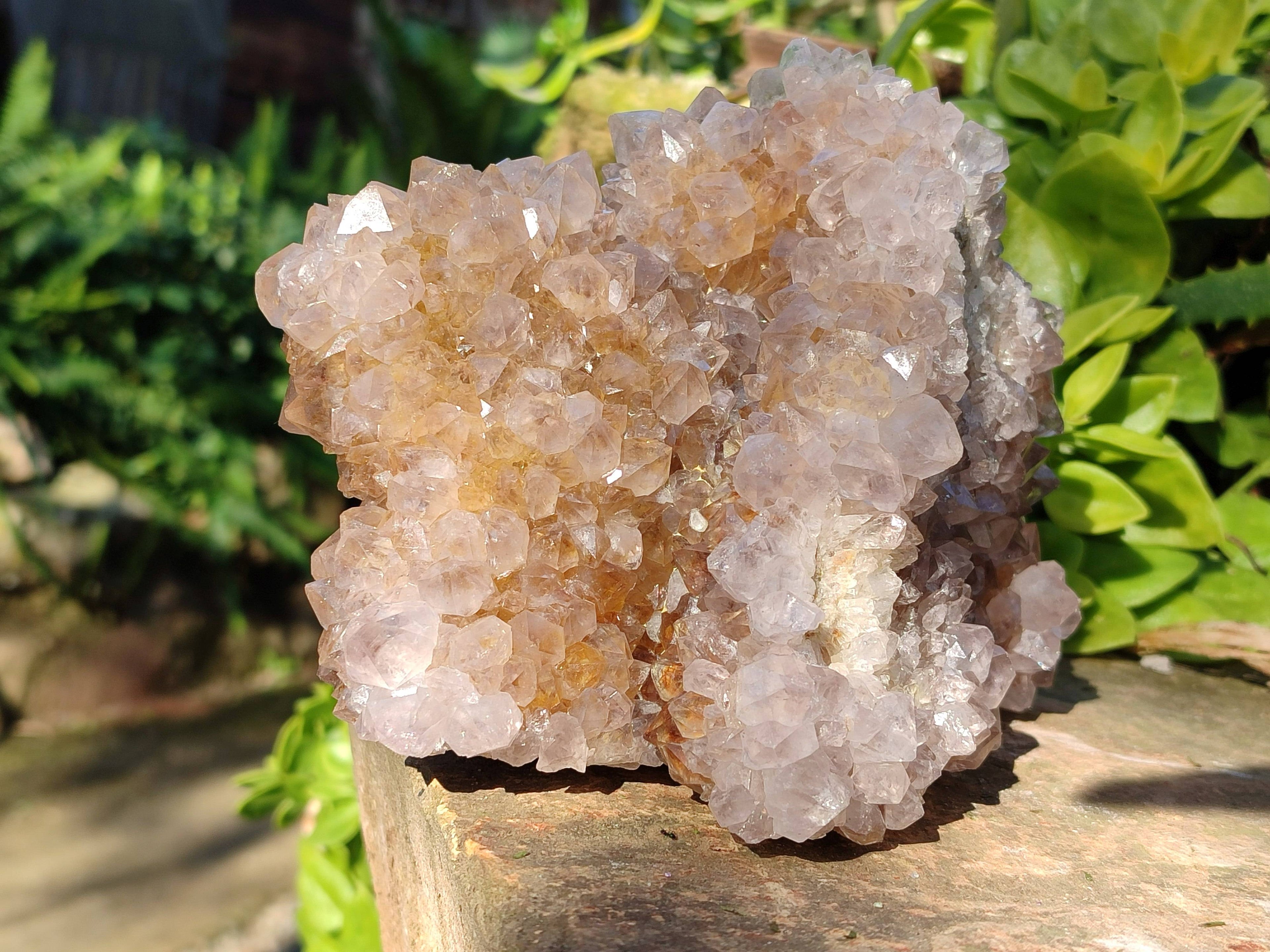 Natural Spirit Quartz Clusters x 2 From South Africa - Toprock Gemstones and Minerals 