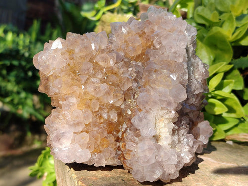 Natural Spirit Quartz Clusters x 2 From South Africa - Toprock Gemstones and Minerals 