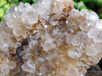 Natural Spirit Quartz Clusters x 2 From South Africa
