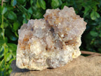 Natural Spirit Quartz Clusters x 2 From South Africa - Toprock Gemstones and Minerals 