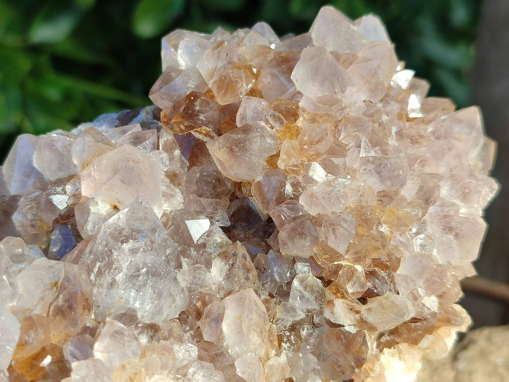 Natural Spirit Quartz Clusters x 2 From South Africa - Toprock Gemstones and Minerals 
