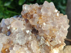 Natural Spirit Quartz Clusters x 2 From South Africa - Toprock Gemstones and Minerals 