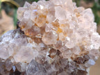 Natural Spirit Quartz Clusters x 2 From South Africa - Toprock Gemstones and Minerals 