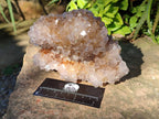 Natural Spirit Quartz Clusters x 2 From South Africa - Toprock Gemstones and Minerals 