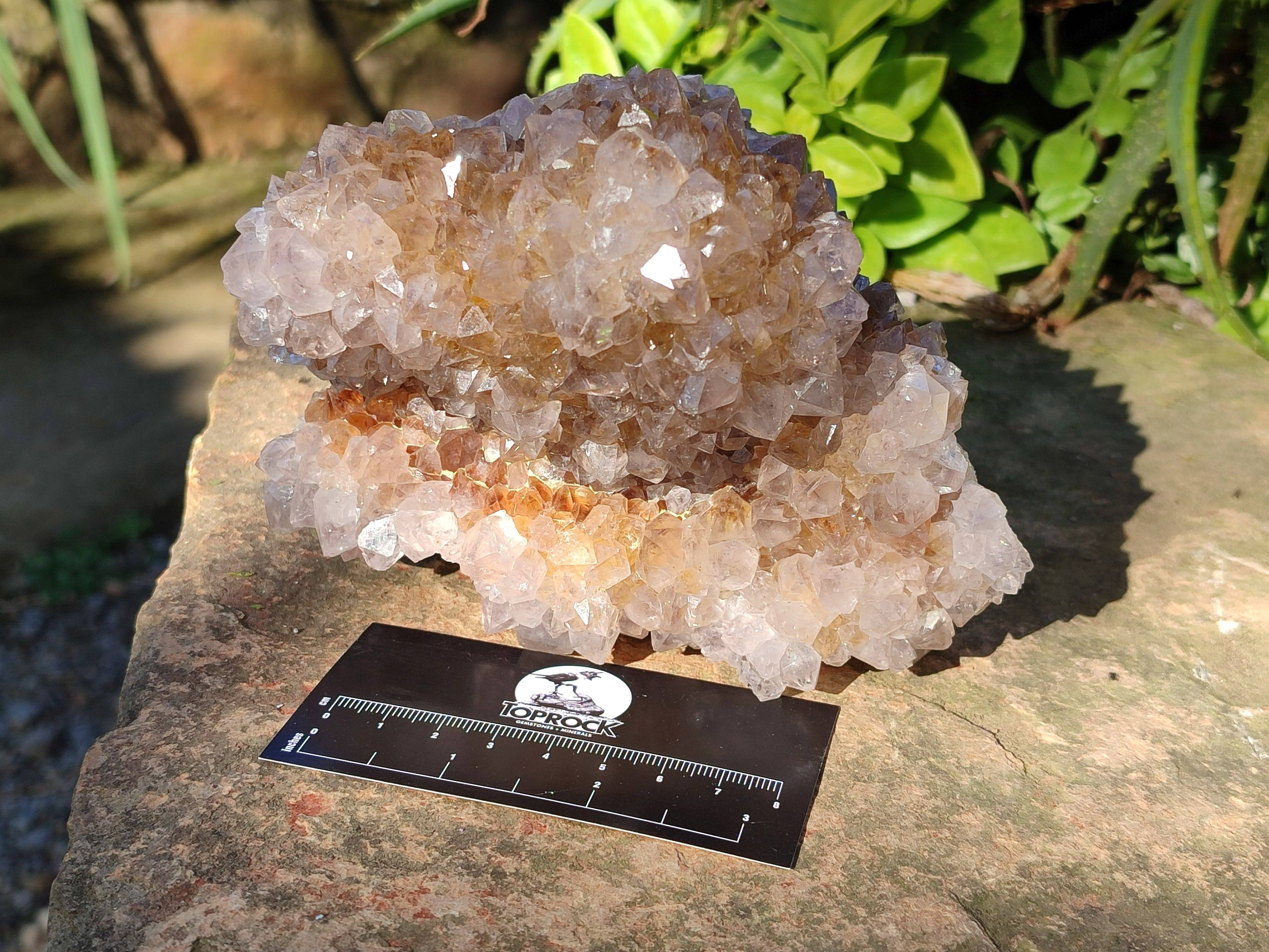 Natural Spirit Quartz Clusters x 2 From South Africa - Toprock Gemstones and Minerals 