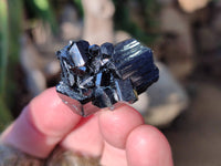 Natural Schorl Black Tourmaline Specimens x 35 From Namibia
