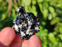 Natural Schorl Black Tourmaline Specimens x 35 From Namibia