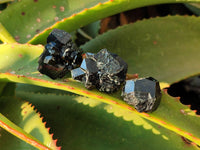 Natural Schorl Black Tourmaline Specimens x 35 From Namibia
