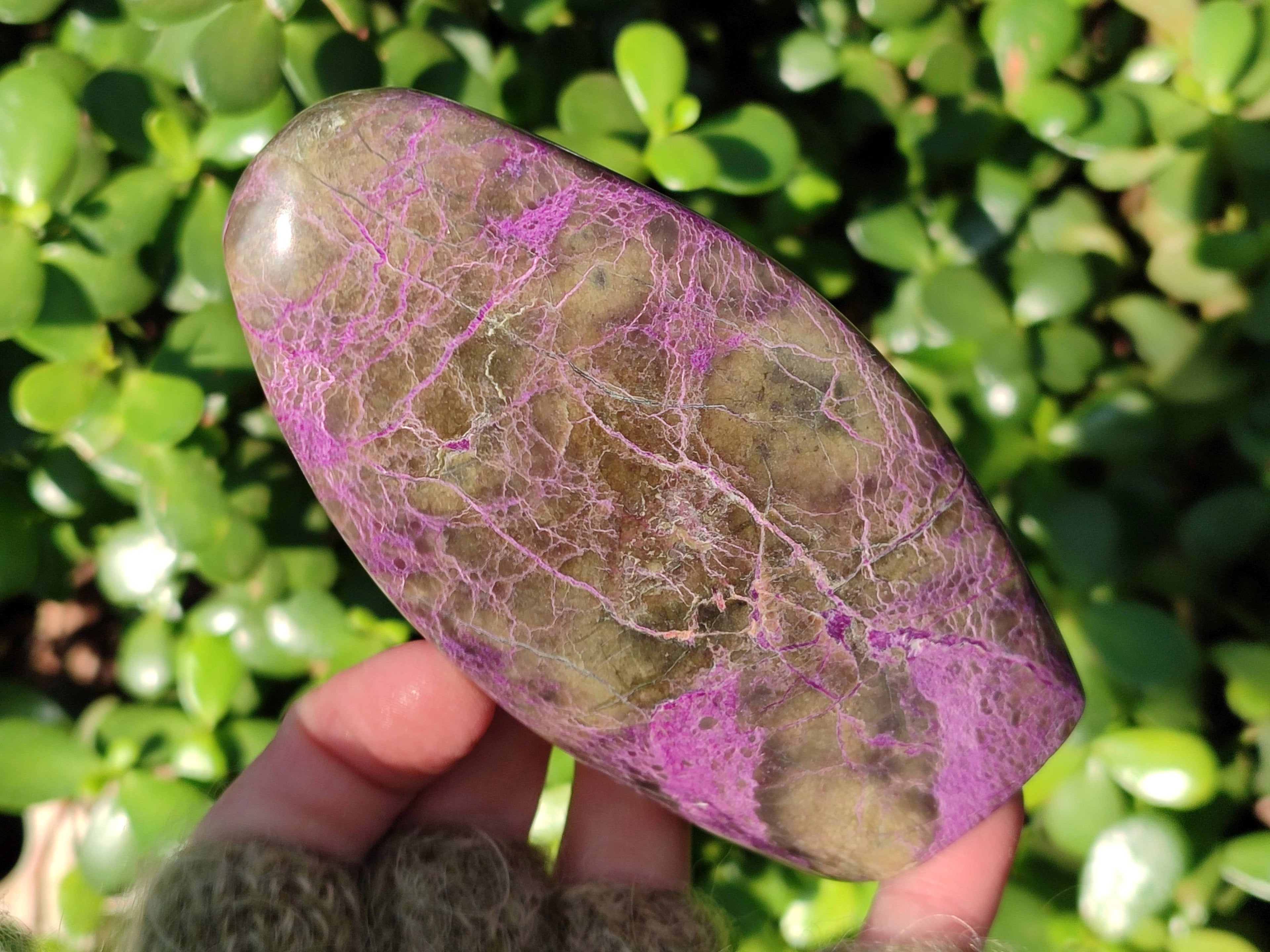 Polished Stichtite Standing Free Forms x 3 From Barberton, South Africa - Toprock Gemstones and Minerals 