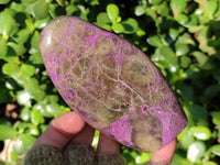 Polished Stichtite Standing Free Forms x 3 From Barberton, South Africa