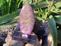 Polished Stichtite Standing Free Forms x 3 From Barberton, South Africa