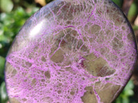 Polished Stichtite Standing Free Forms x 3 From Barberton, South Africa