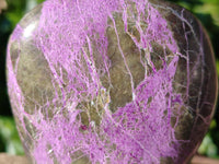 Polished Stichtite Standing Free Forms x 3 From Barberton, South Africa