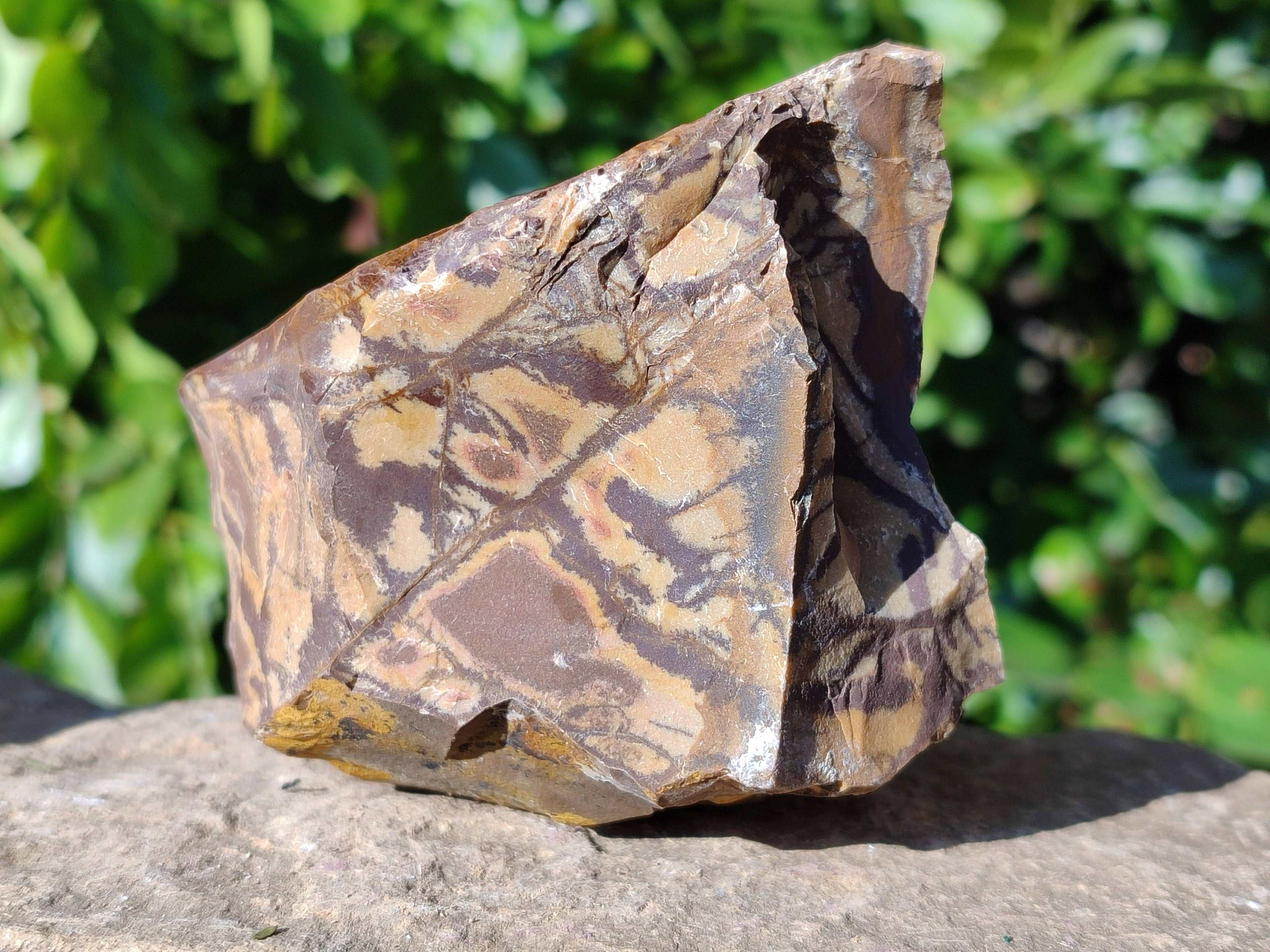 Natural Selected Nguni Jasper Cobbed Specimens x 12 From Prieska, South Africa - Toprock Gemstones and Minerals 