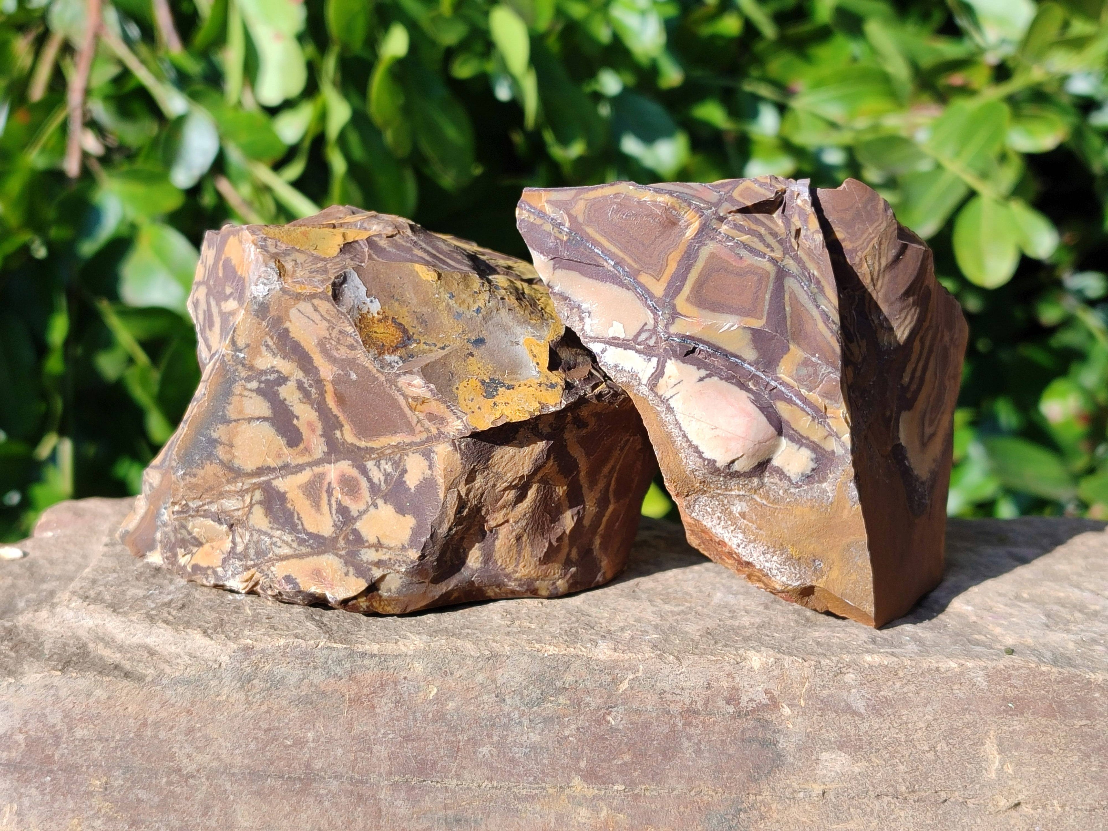 Natural Selected Nguni Jasper Cobbed Specimens x 12 From Prieska, South Africa - Toprock Gemstones and Minerals 