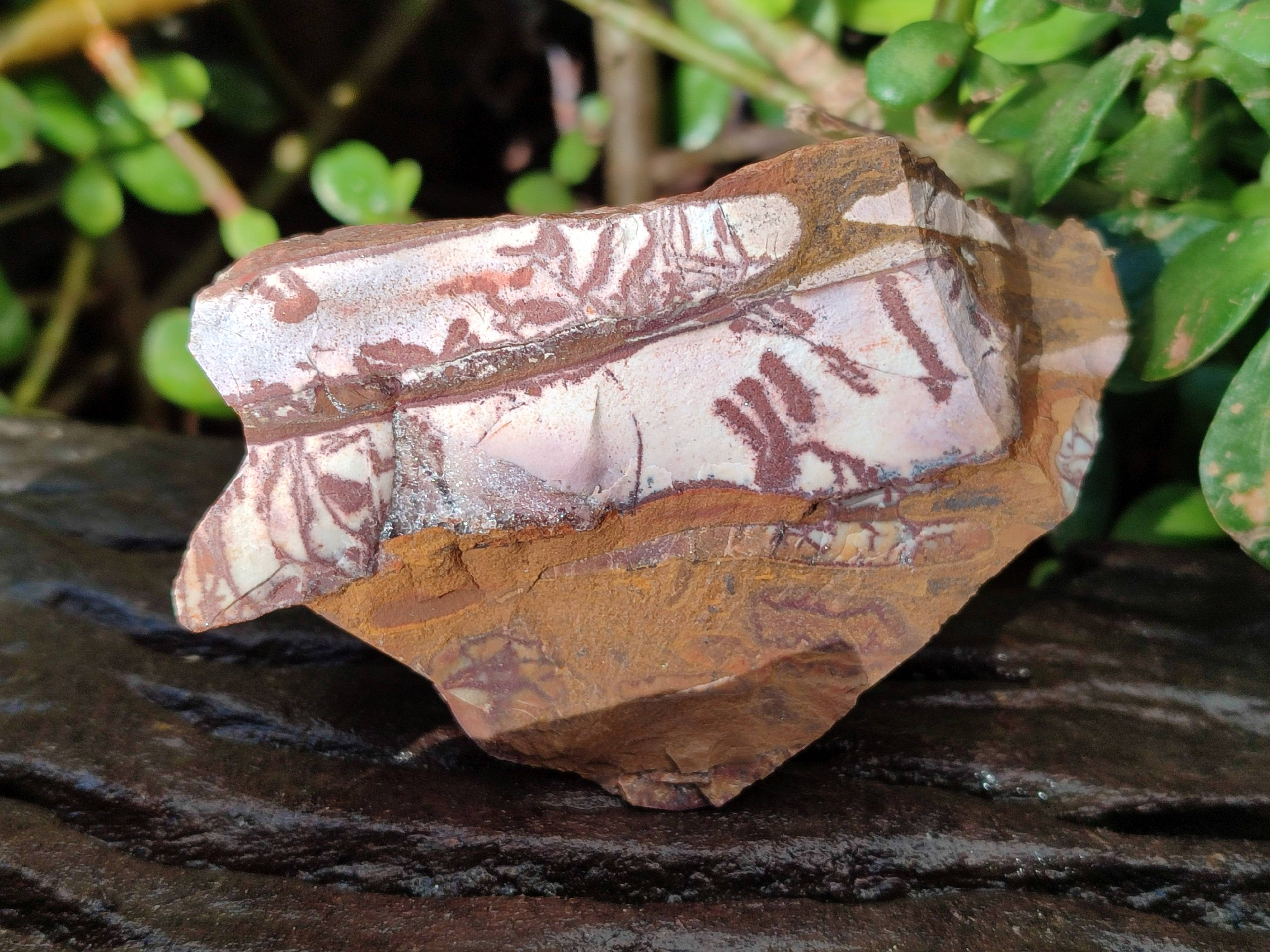 Natural Selected Nguni Jasper Cobbed Specimens x 12 From Prieska, South Africa - Toprock Gemstones and Minerals 