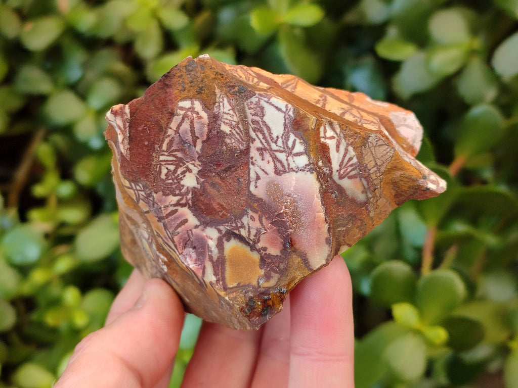 Natural Selected Nguni Jasper Cobbed Specimens x 12 From Prieska, South Africa - Toprock Gemstones and Minerals 