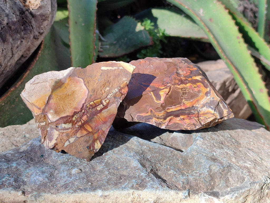 Natural Selected Nguni Jasper Cobbed Specimens x 12 From Prieska, South Africa - Toprock Gemstones and Minerals 