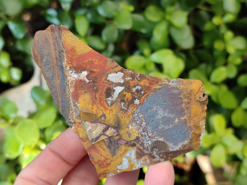 Natural Selected Nguni Jasper Cobbed Specimens x 12 From Prieska, South Africa - Toprock Gemstones and Minerals 