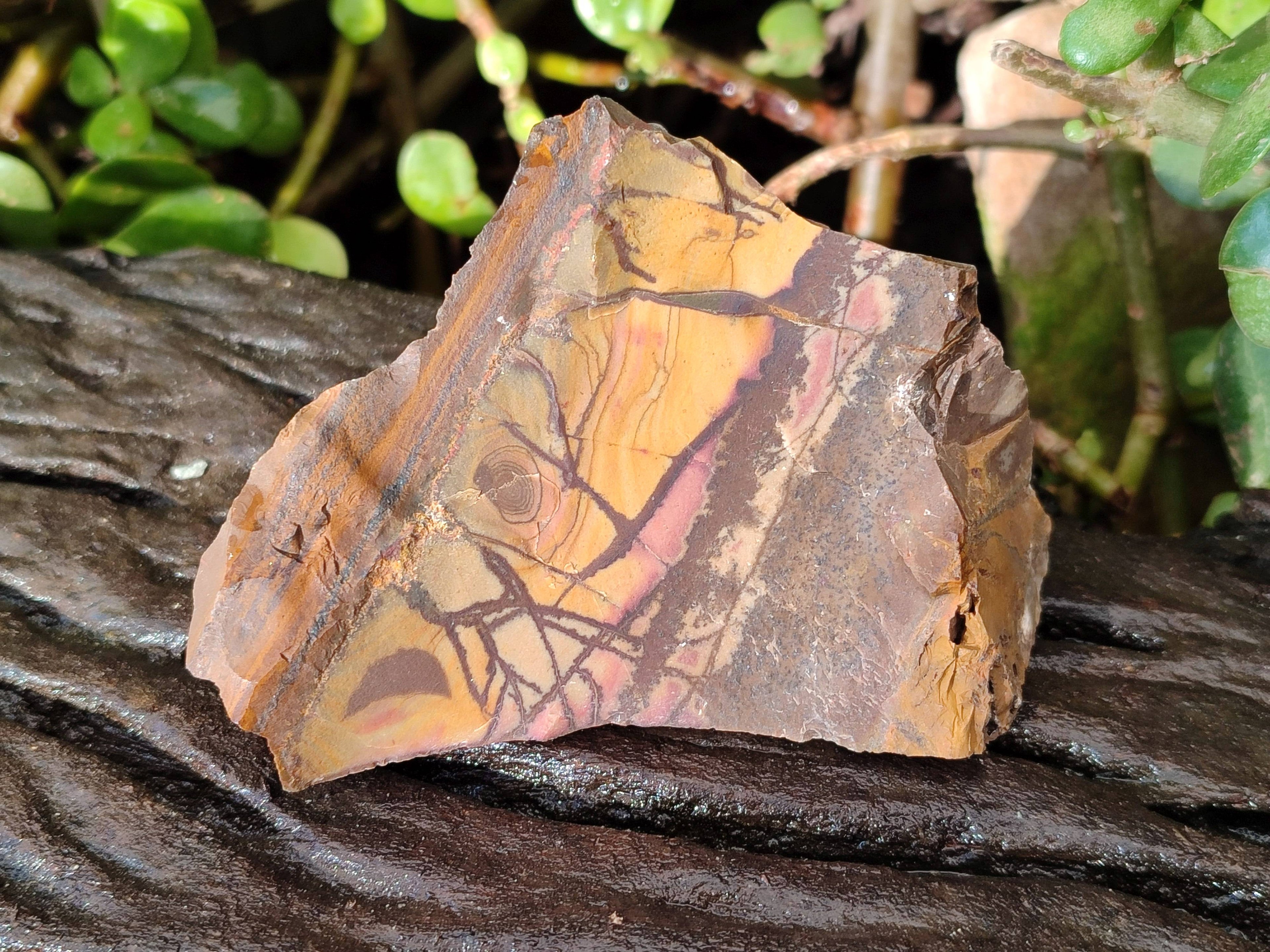 Natural Selected Nguni Jasper Cobbed Specimens x 12 From Prieska, South Africa - Toprock Gemstones and Minerals 