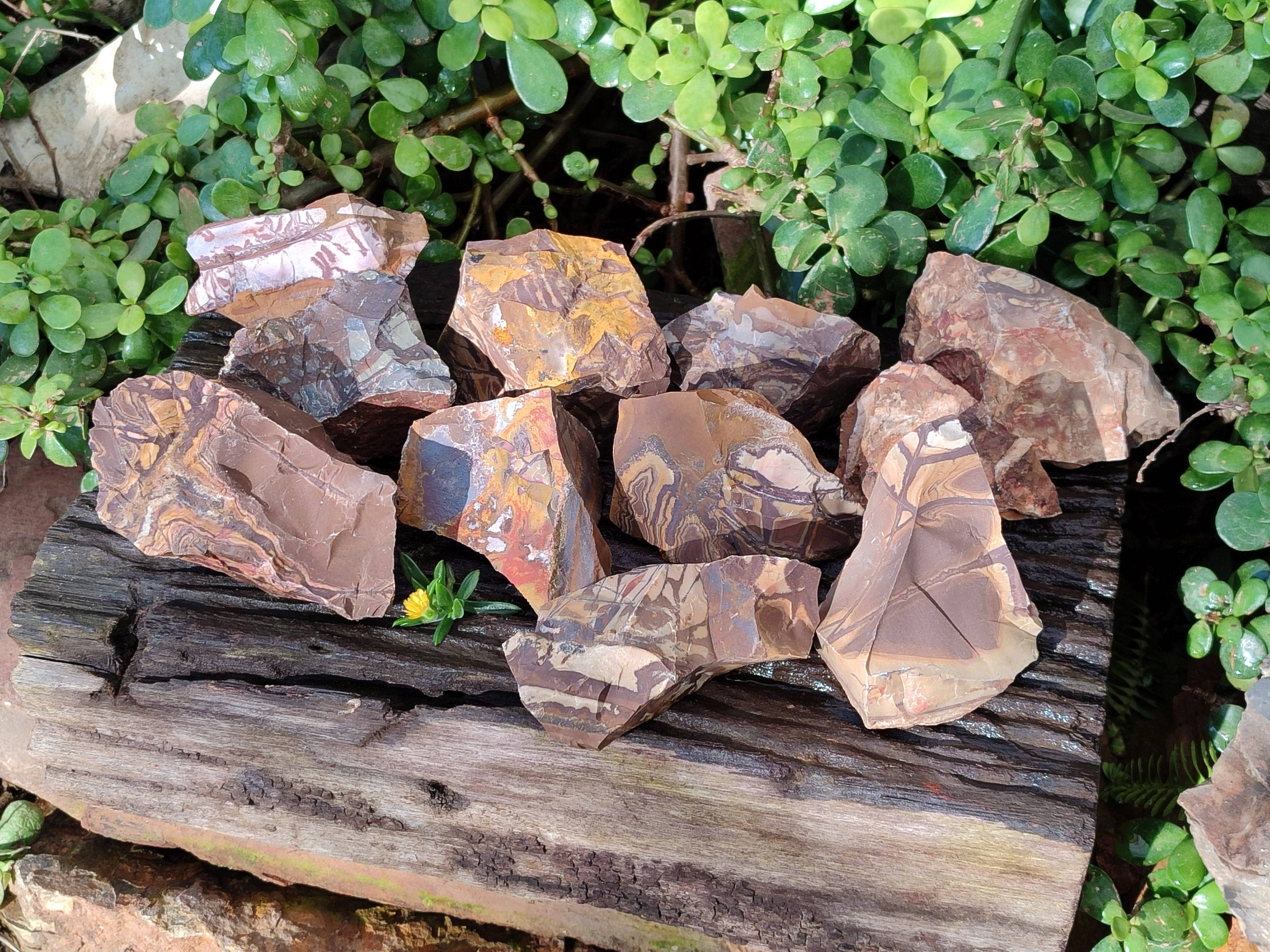 Natural Selected Nguni Jasper Cobbed Specimens x 12 From Prieska, South Africa - Toprock Gemstones and Minerals 