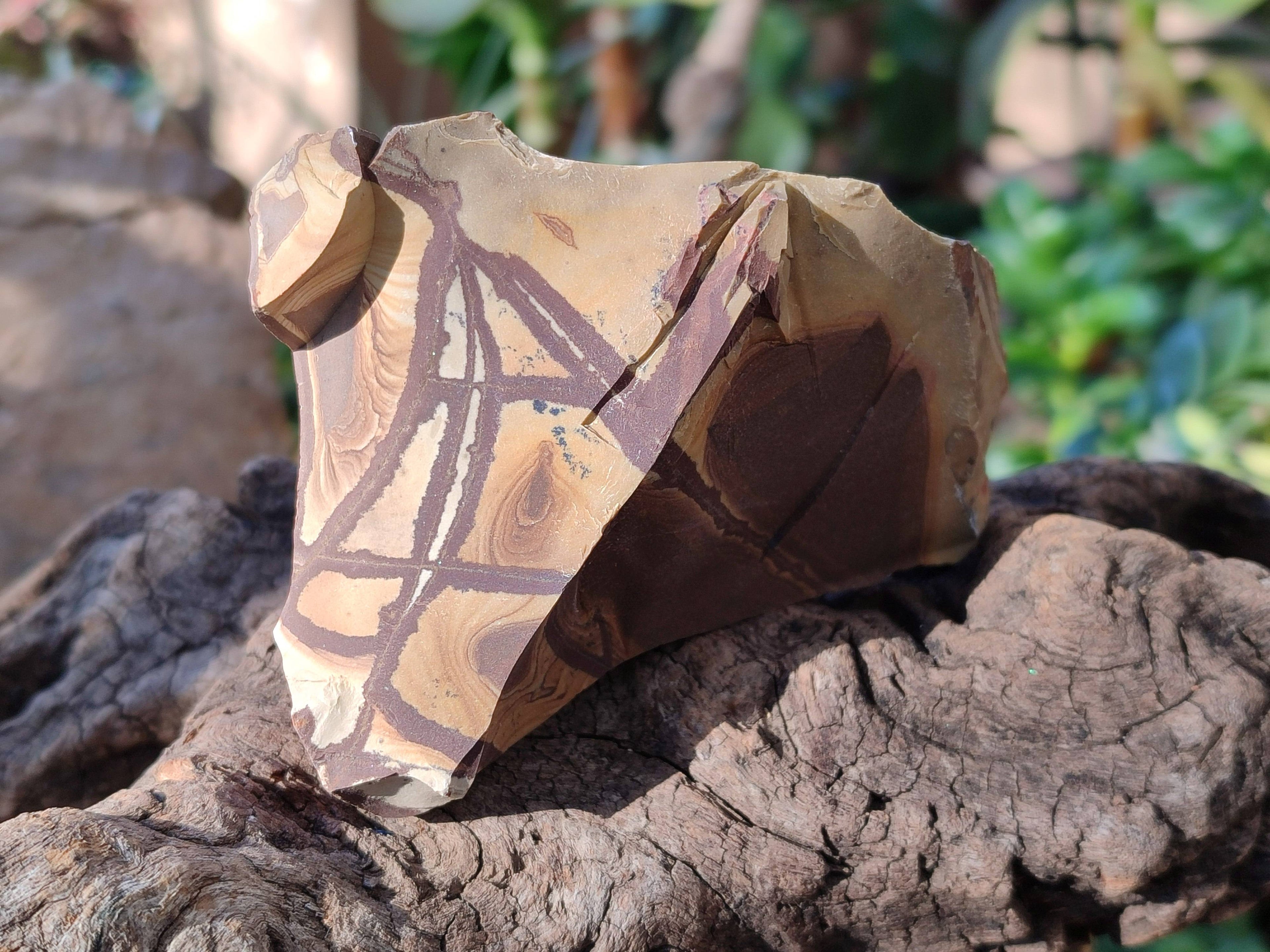 Natural Selected Nguni Jasper Cobbed Specimens x 12 From Prieska, South Africa - Toprock Gemstones and Minerals 