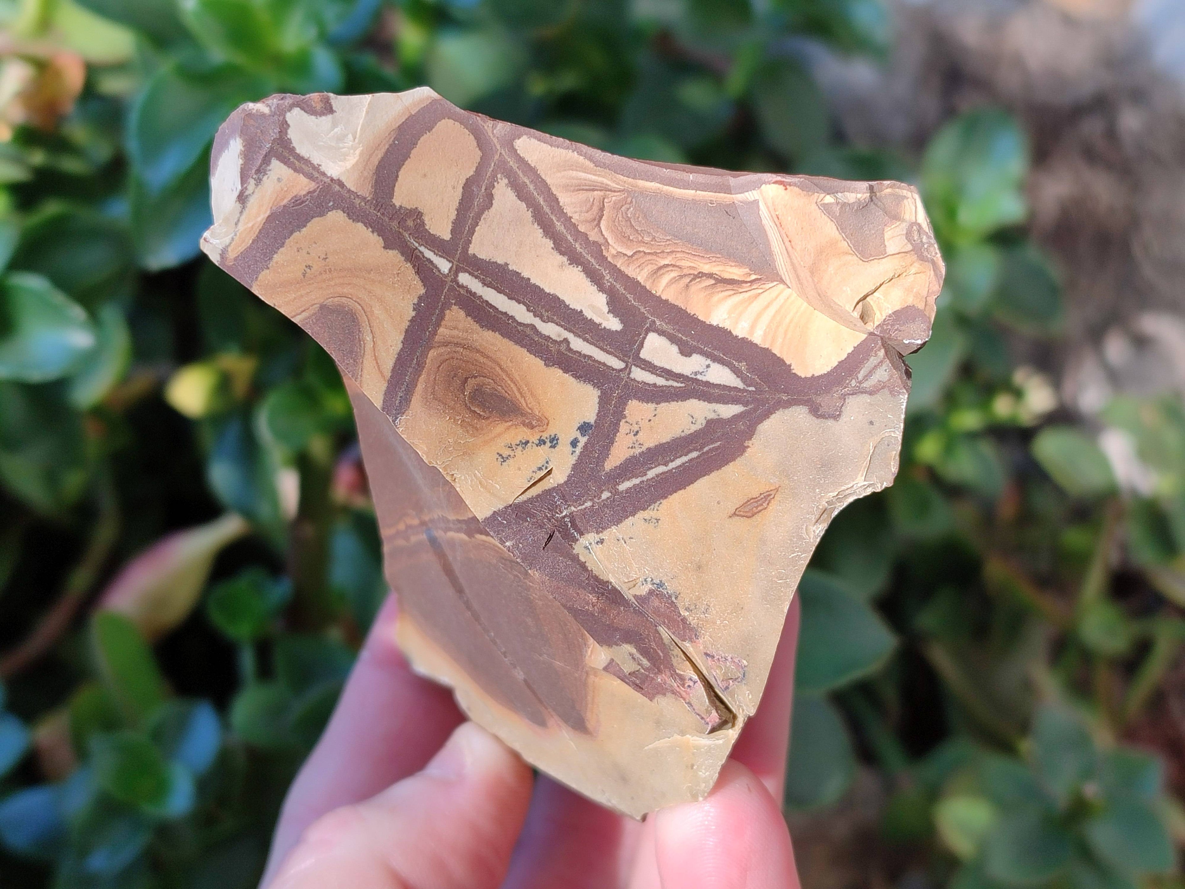 Natural Selected Nguni Jasper Cobbed Specimens x 12 From Prieska, South Africa - Toprock Gemstones and Minerals 