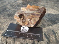 Natural Selected Nguni Jasper Cobbed Specimens x 12 From Prieska, South Africa